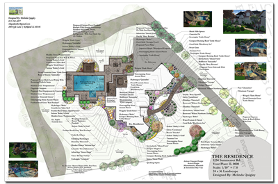 Gallery - The Process